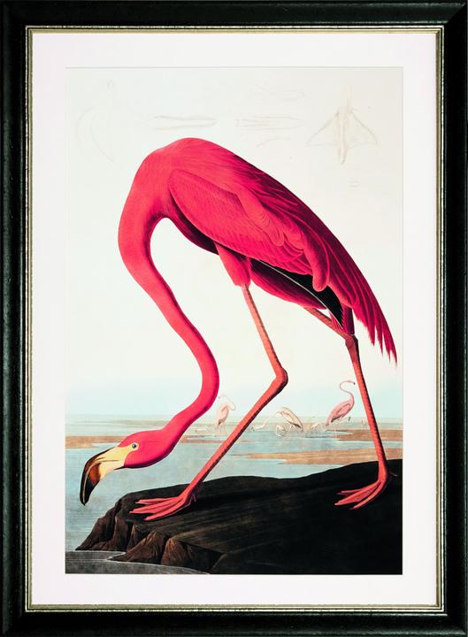 G&C Gallery Flamingo (68 x 96 cm)