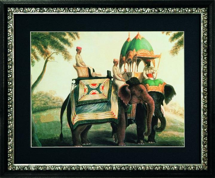 G&C Gallery Elephants (50 x 40 cm)