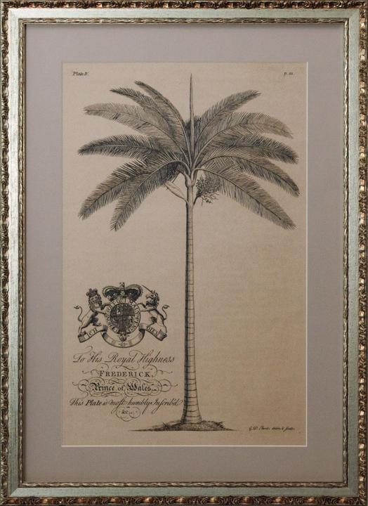 G&C Gallery Palms (42 x 59 cm)