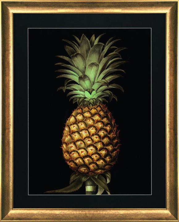 G&C Gallery Pineapple (47 x 60 cm)