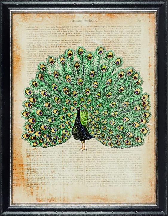 G&C Gallery Birds (45 x 60 cm)