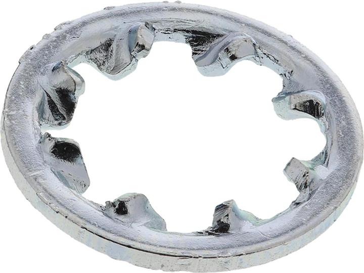 Actual product image Rs Pro Toothed washers internal teeth galvanized M6 (M6)