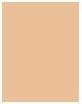 Actual product image Artdeco Mineral Foundation (06 - Honey)