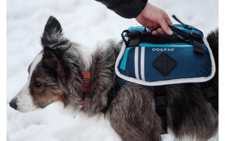Actual product image Dogpak Moab Lite Hunderucksack L (L, Dog boots)