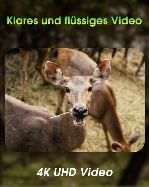 Actual product image KJK Wildkamera mit WLAN, 4K, Nachtsicht, IP67, 130° Winkel