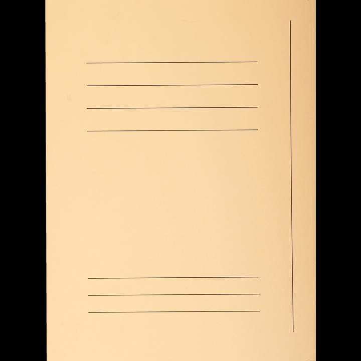 Actual product image Exacompta File folder A4 240g sand (A4, 50 x)