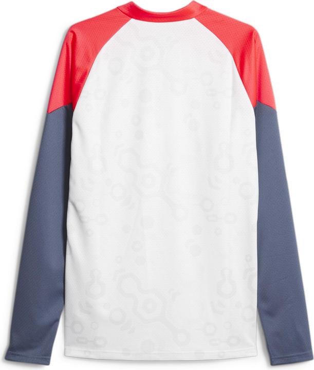 Immagine prodotto Puma individualCUP Top 1/4 Zip (L)