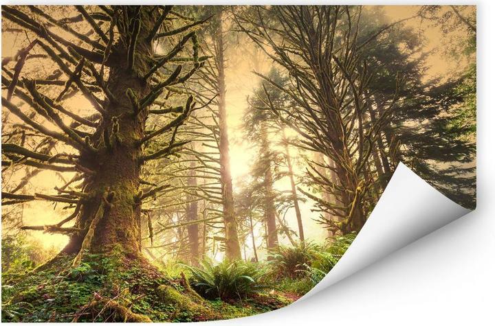 Actual product image Trenddeko Enchanted Forest (60 x 40 cm)