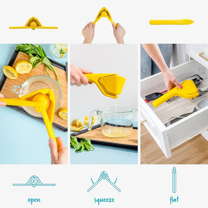 Actual product image DreamFarm Fluicer Saftpresse Lemon