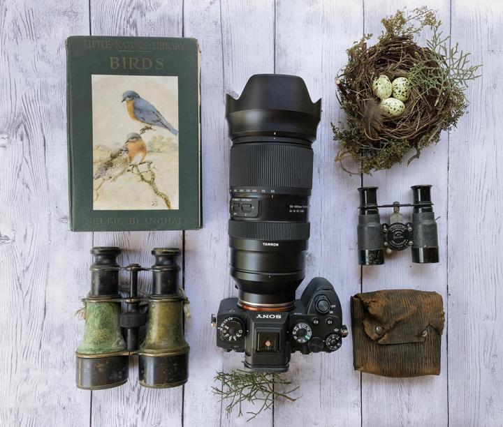 Immagine prodotto Tamron AF 50-400mm F/4.5-6.3 Di III VC VXD (Sony E, APS-C / DX, Full-frame)
