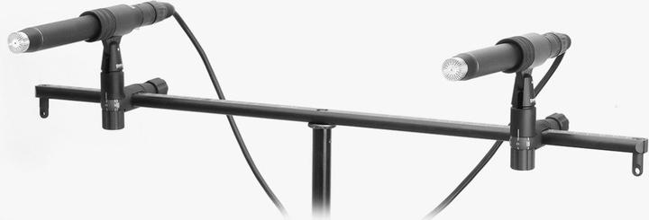 Immagine prodotto DPA 4006A Stereo