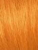 Actual product image L'Oréal Paris PrÃ©fÃ©rence Vivid Colors