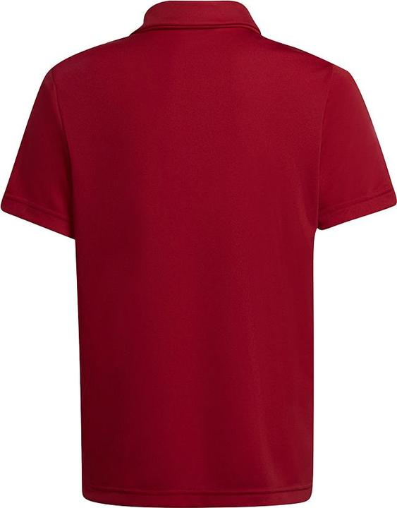 Actual product image adidas Entrada 22 Polo Kids (152)
