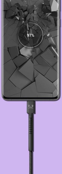 Immagine prodotto Fresh'N Rebel USB C - USB C (2 m, USB 3.0, 15 W)