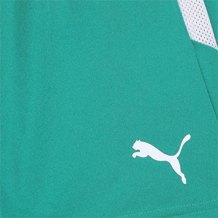 Image du produit Puma short teamLIGA Jr-704931 (176)