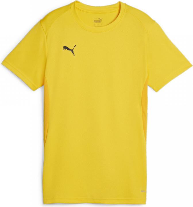 Produktbild Puma teamGOAL Jersey Wmn (XL)