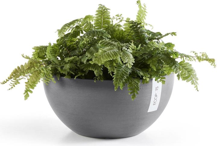 Actual product image Ecopots Brussels (25 cm)