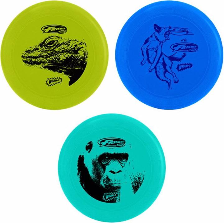 Actual product image NoName cool flyers