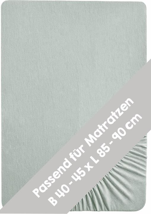 Roba Drap-housse jersey, 45 x 90 cm et 40 x 90 cm Lil Planet vert givré (45 x 90 cm)