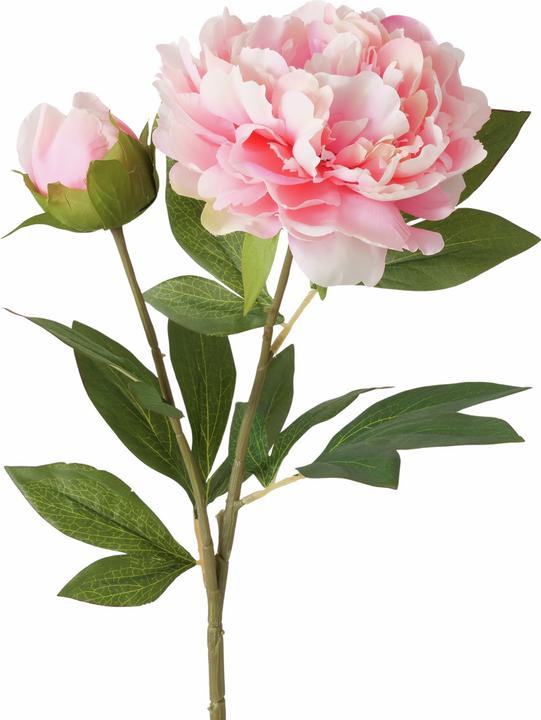 Boltze Home Stielblume (72 cm)