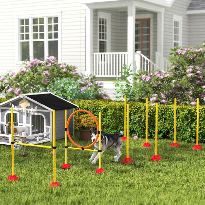 Immagine prodotto Swisshandel24 Agility Set Hunde 3-teiliges befüllbar Agility-Ausrüstung für Hundetraining (Destrezza)
