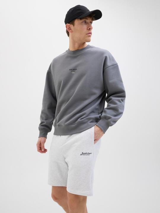 Produktbild Jack & Jones Regular Fit Regular Fit Shorts Regular Fit Shorts (XL)