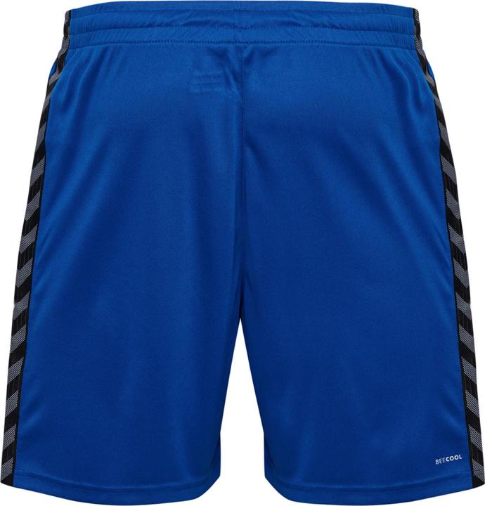 Image du produit hummel Hmlauthentic Pl Shorts (XL)