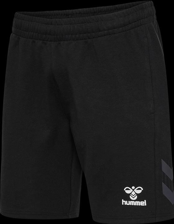 Image du produit hummel Hmltravel Shorts (L)