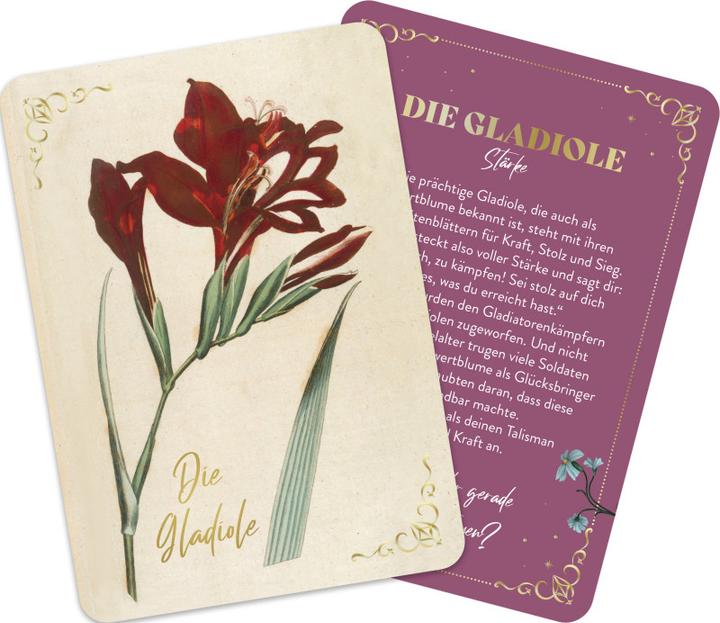 Image du produit Die geheimnisvolle Sprache der Blumen - 50 Orakelkarten für das ganze Jahr (Allemand, Maison d'édition Groh, 2024)