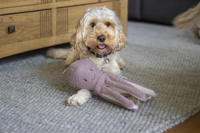 Image du produit Rosewood Tufflove Octopus (Jouet en peluche chien)