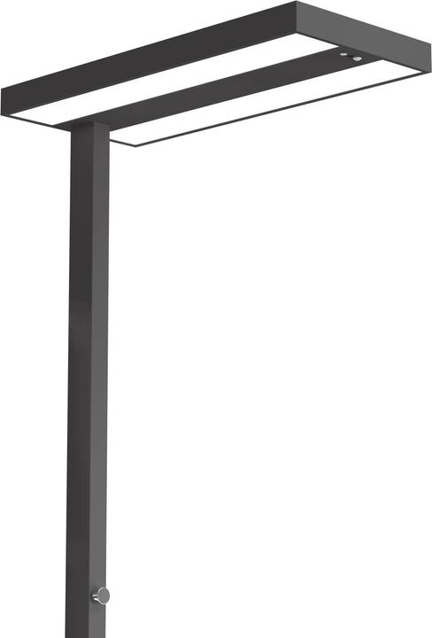 Image du produit Contini Lampadaire de bureau (4600 lm)