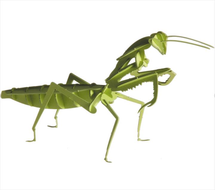 Immagine prodotto Fridolin Modello di carta in 3D "Mantide religiosa