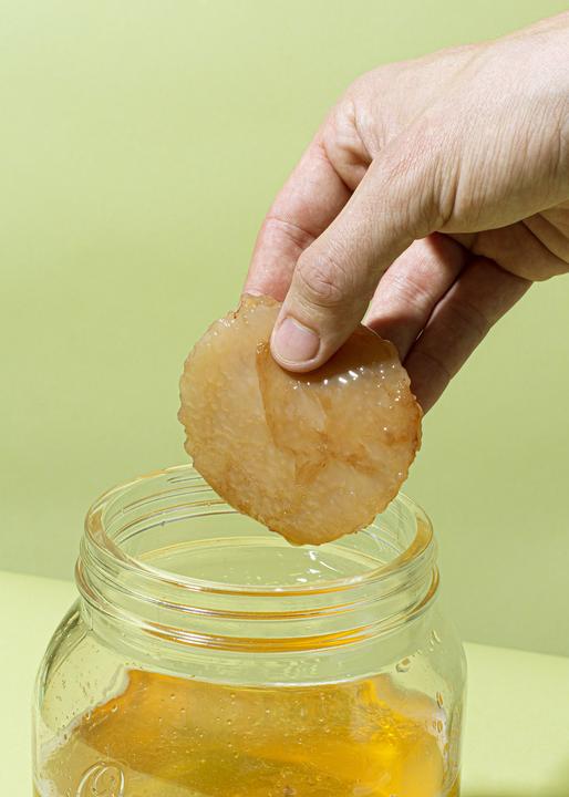 Immagine prodotto KoRo Scoby di kombucha (1 x 20 cl)
