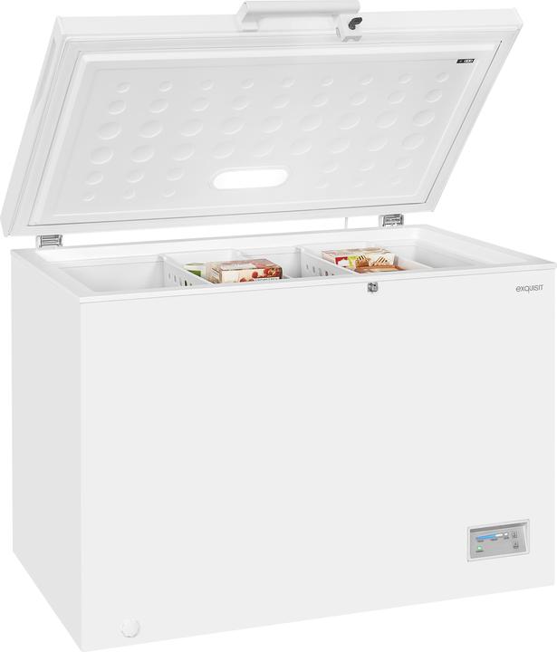 Immagine prodotto Exquisit GT320-HE-040E (Struttura autonoma, 308 l)