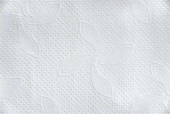 Actual product image Katrin Towels Z-Fold Interfold Classic Non Stop M 2 (4000 x)