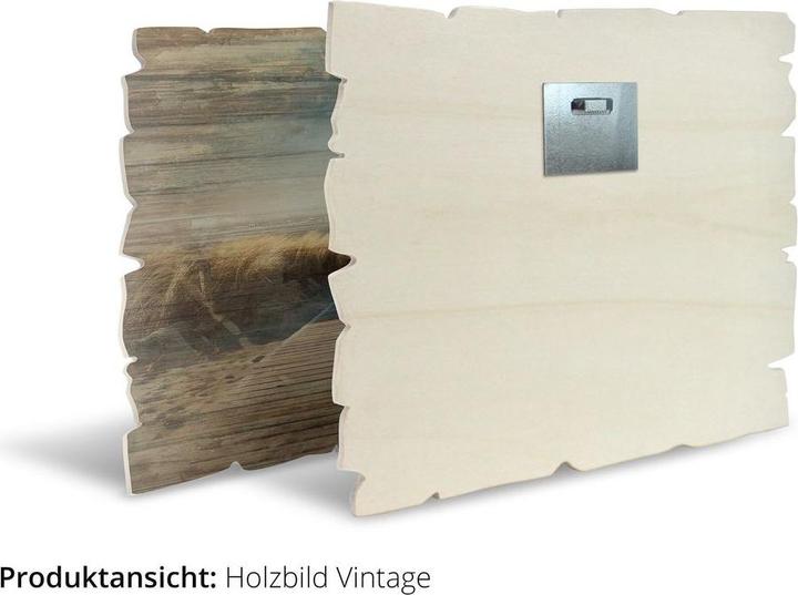 Image du produit Artland Graines de pissenlit I T5SQ (40 x 30 cm)