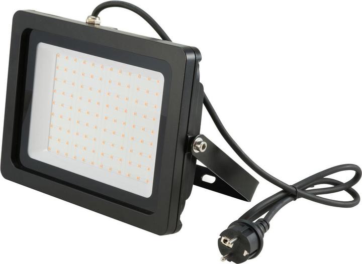 Actual product image Eurolite LED IP FL-100 SMD green