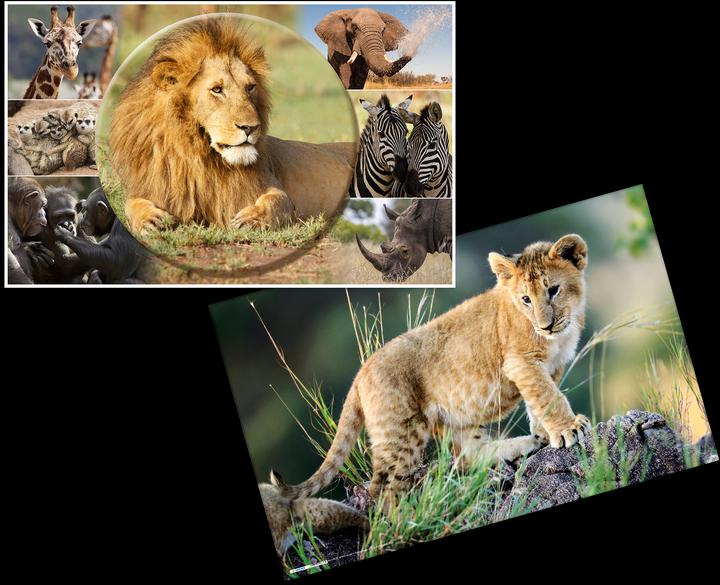 Actual product image Herma Desk pad (35 x 0.5 x 55.5 cm)