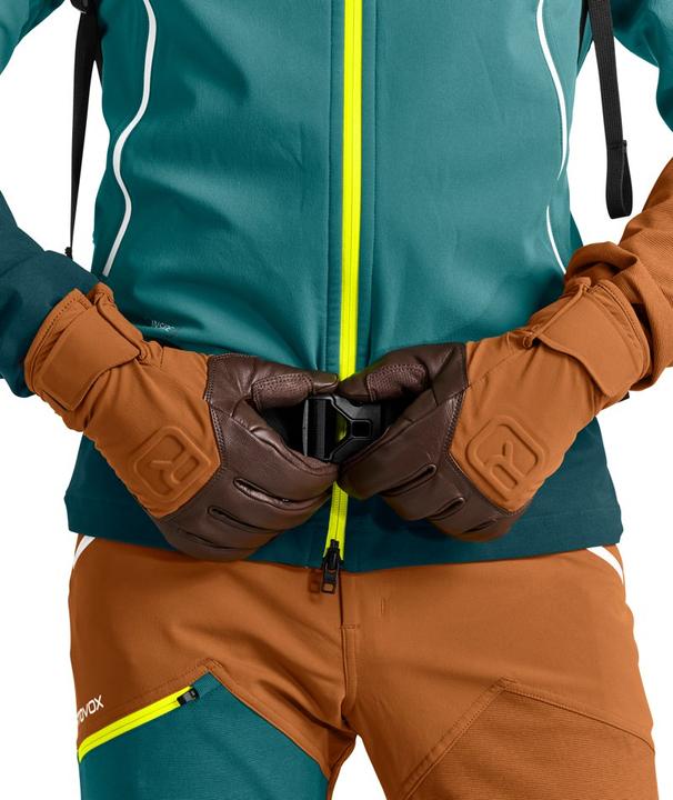 Image du produit Ortovox Gant Alpine Pro (M)