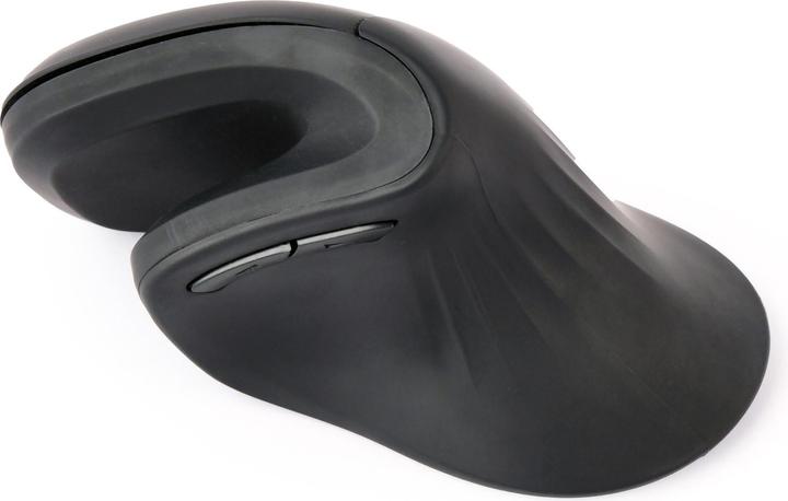Image du produit Gembird Souris ergonomique 6 boutons noire (Sans fil)