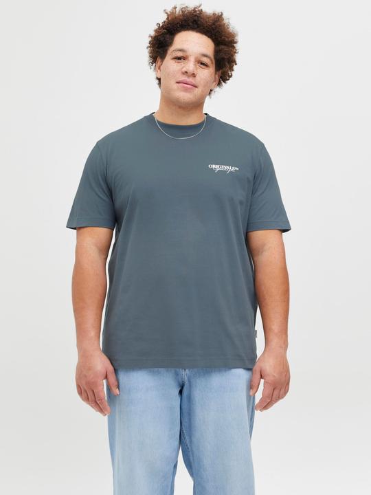 Actual product image Jack & Jones Plus Size Rückenprint T-shirt T-shirt (4XL)