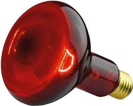 Actual product image Beurer Spare lamp IL 11 (100 W)