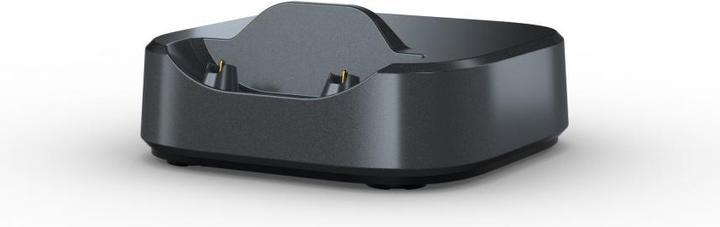 Actual product image Gigaset Pro ION