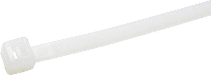 Actual product image WKK 5093 Cable tie 775 mm 9 mm Natural 100 pcs. (Plastic cable ties, 775 mm, 100 pcs.)