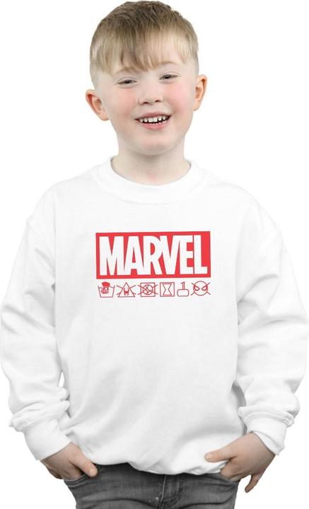 Image du produit - Sweat LOGO WASH CARE - Garçon (152, 158)