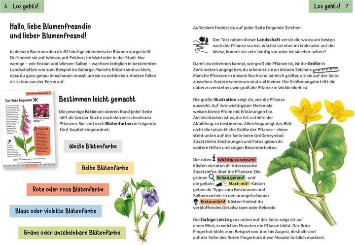 Valeurs nutritives et ingrédients Kosmos Was blüht denn da? Kindernaturführer (Allemand, Heike Herrmann, Ursula Stichmann-Marny, 2022)
