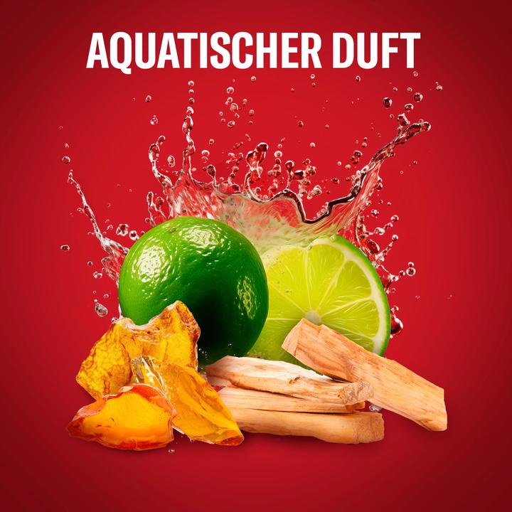 Actual product image Old Spice Whitewater (Stick, 50 ml)