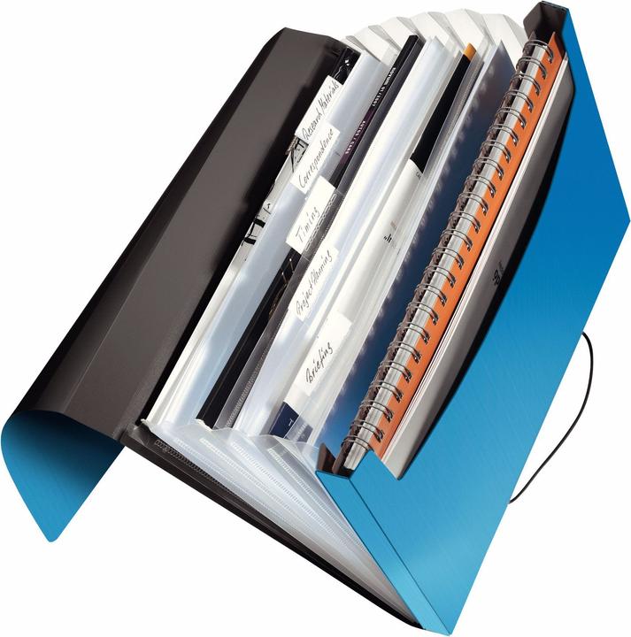 Actual product image Leitz Solid project folder (A4, 1 x)