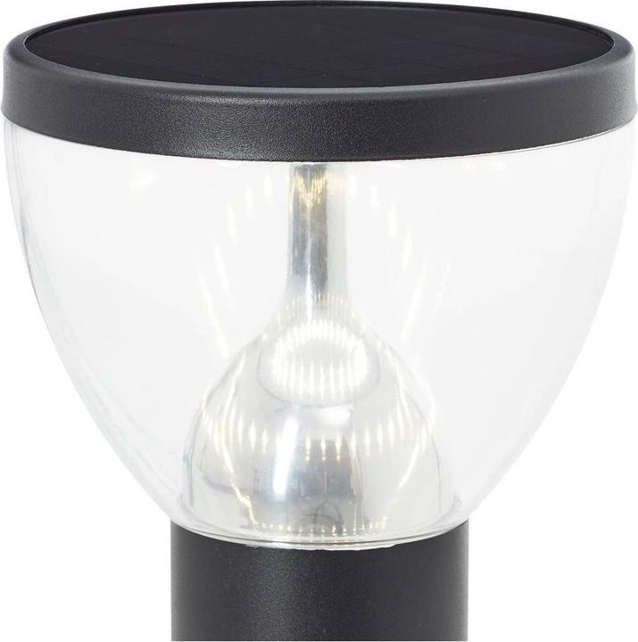 Image du produit Brilliant G40411/06 Tulip Lampe d'extérieur solaire, lampe d'allée 3 W Blanc chaud Sc (430 lm, IP44)