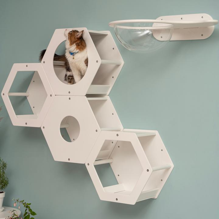 Immagine prodotto Wowhelperco Parete da arrampicata per gatti 8 pezzi (Bianco)
